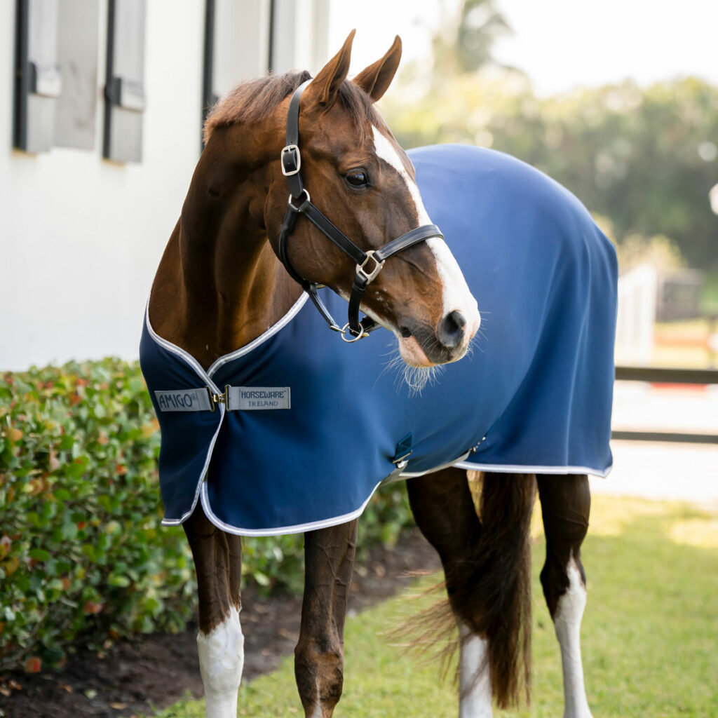 Amigo Jersey Cooler Rug Horseware Rugs