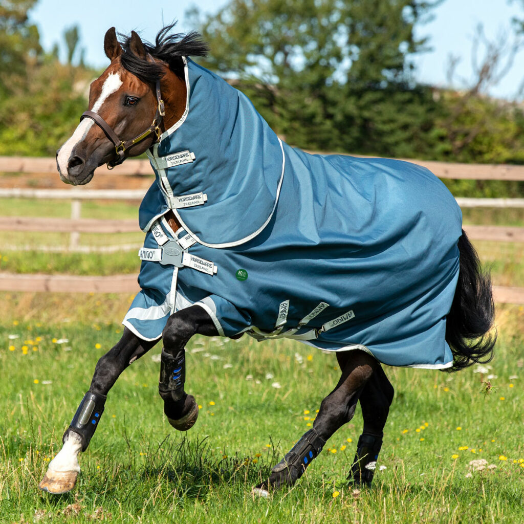 Amigo AmECO Turnout Rug Horseware Rugs