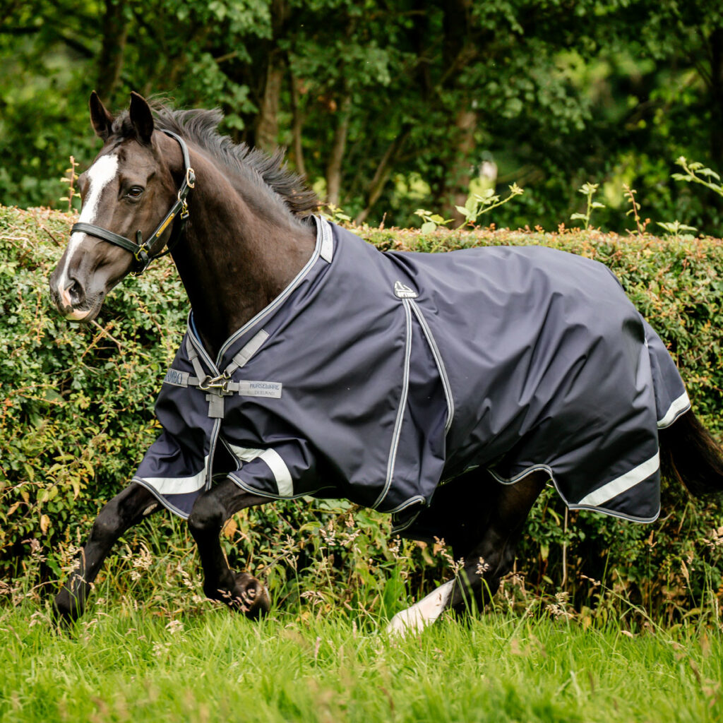 Rambo Horseware Rugs Navy