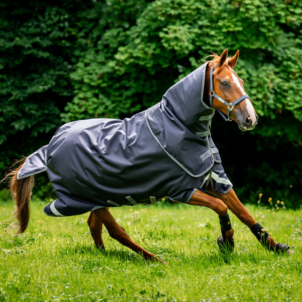 Rambo Duo force Horseware Rugs