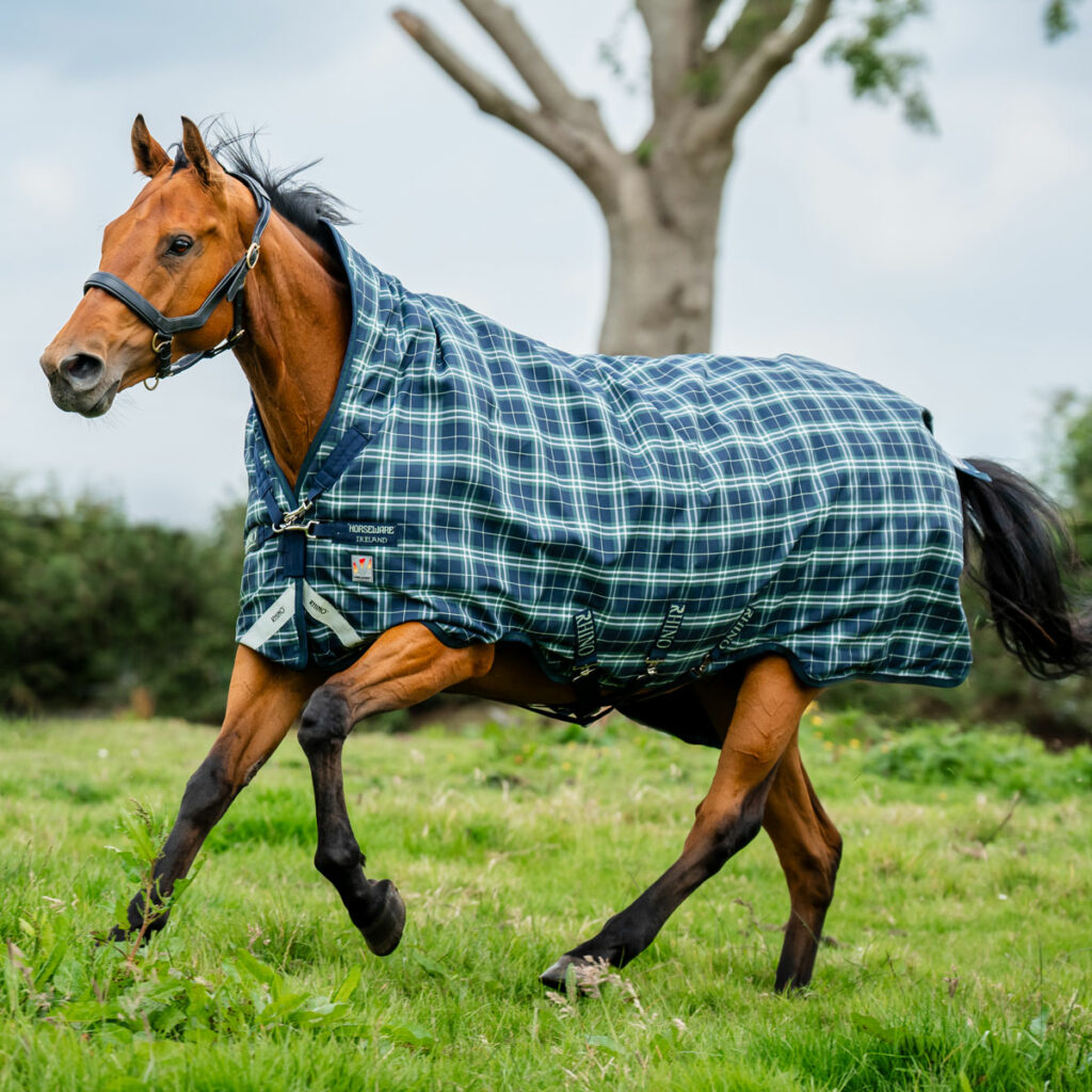 Rhino Turnout rug Horseware Rugs