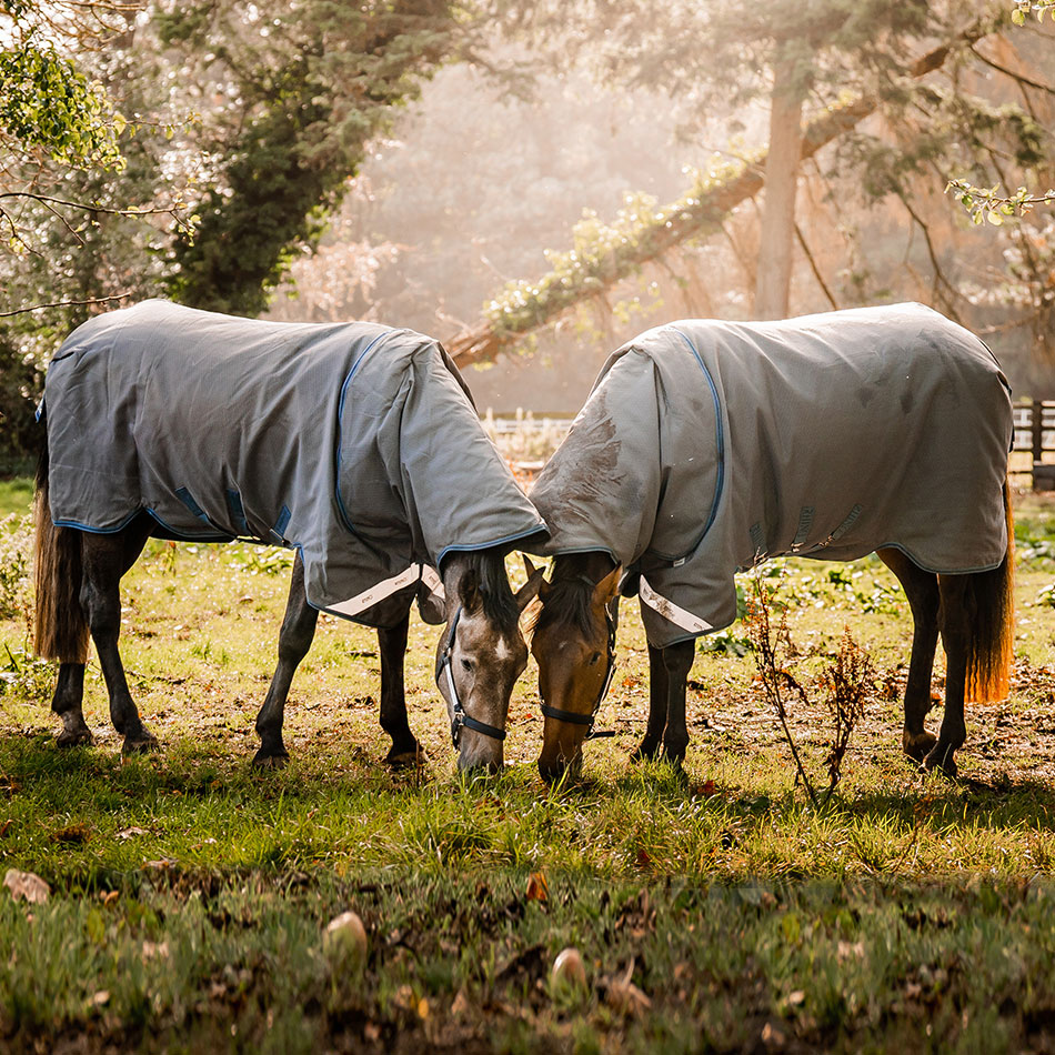 Rhino Hexstop Turnout rug Horseware Rugs