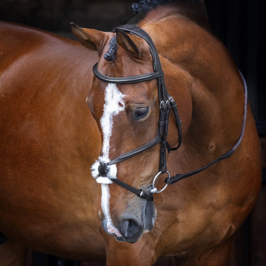 Shires Velociti RAPIDA Grackle Bridle