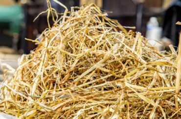 Save up to 10% with our Collection Discounts! Get great savings when you purchase feed, bedding, rubber matting, and fence stakes from our Totnes store!