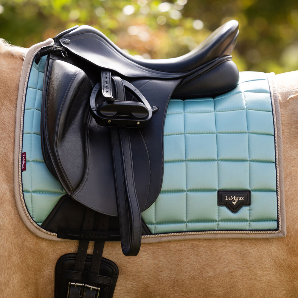 lemieux saddle pad lagoon