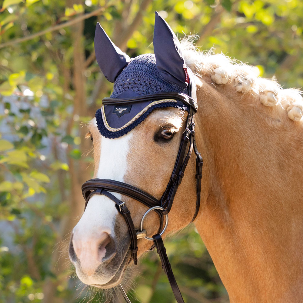 lemieux fly veil Dusk
