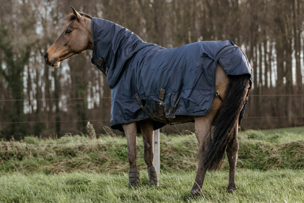 Kentucky All Weather Waterproof Pro Turnout Rugs