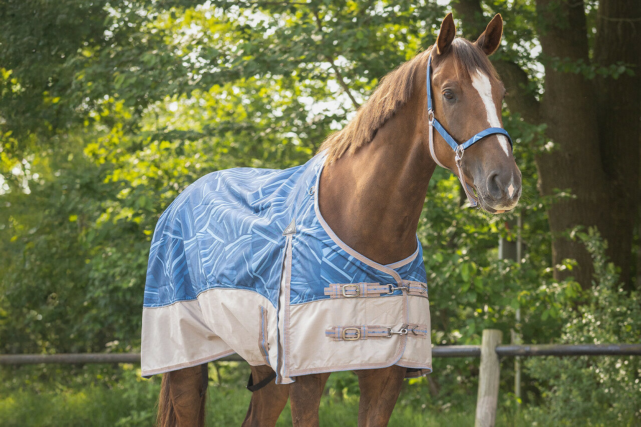 QHP Collection 0g Turnout Rugs