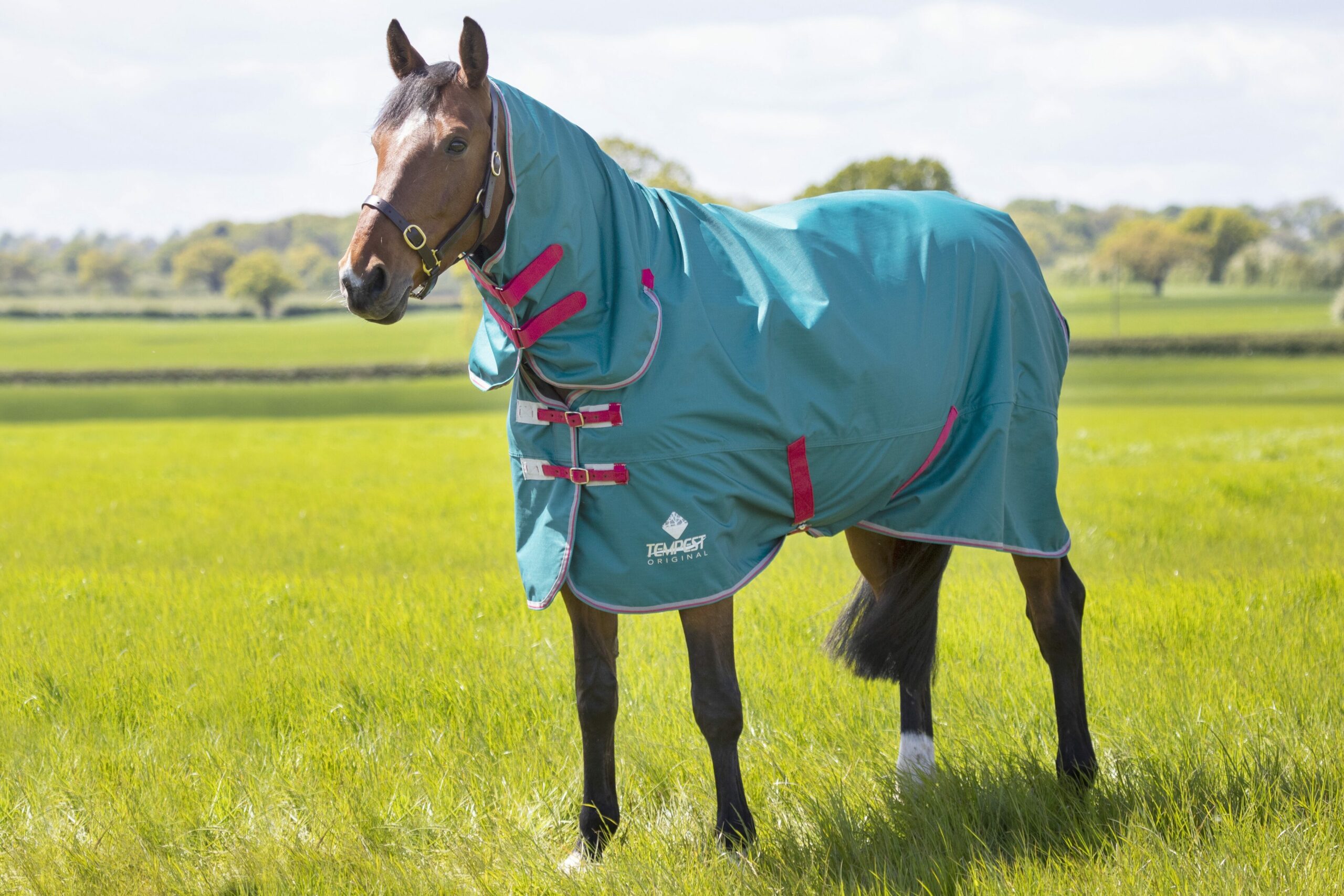 Shires Original Air Motion Turnout Rugs