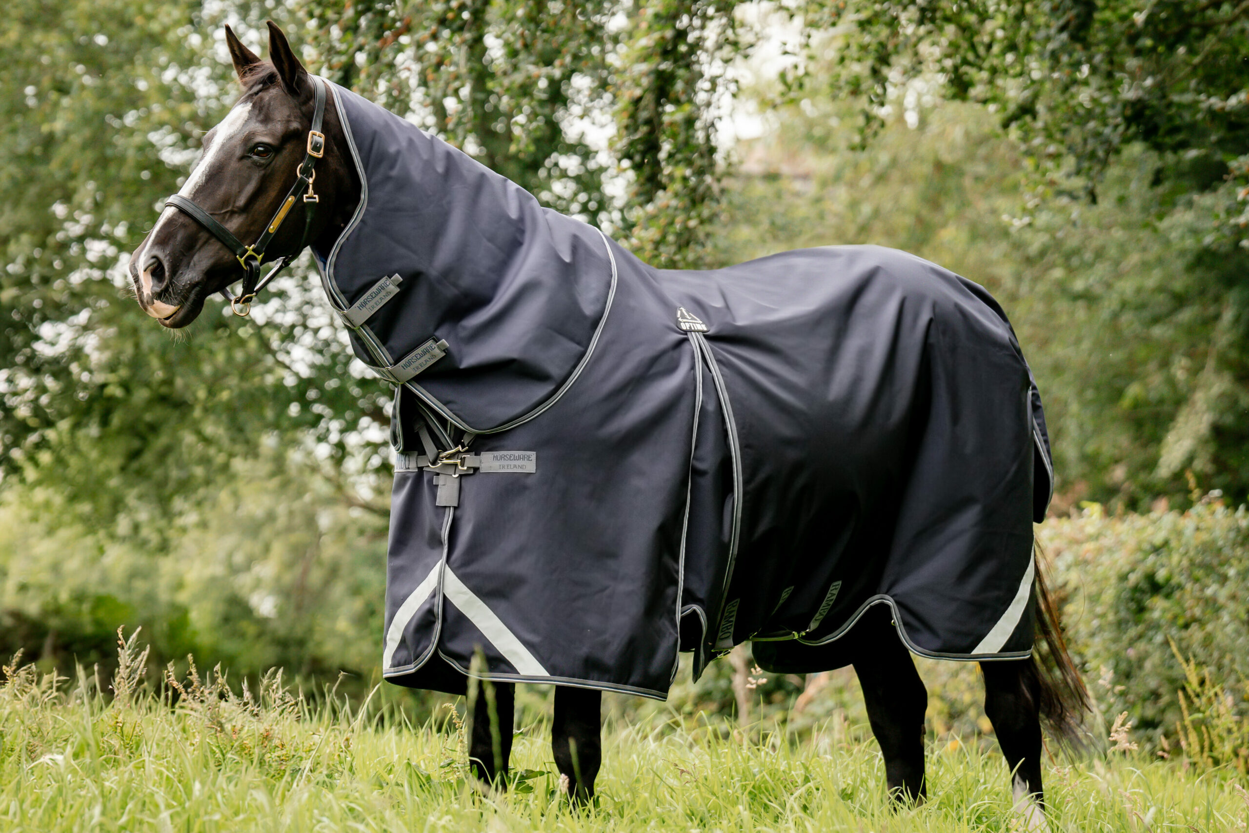 Rambo Optimo Plus 0g Turnout Rugs