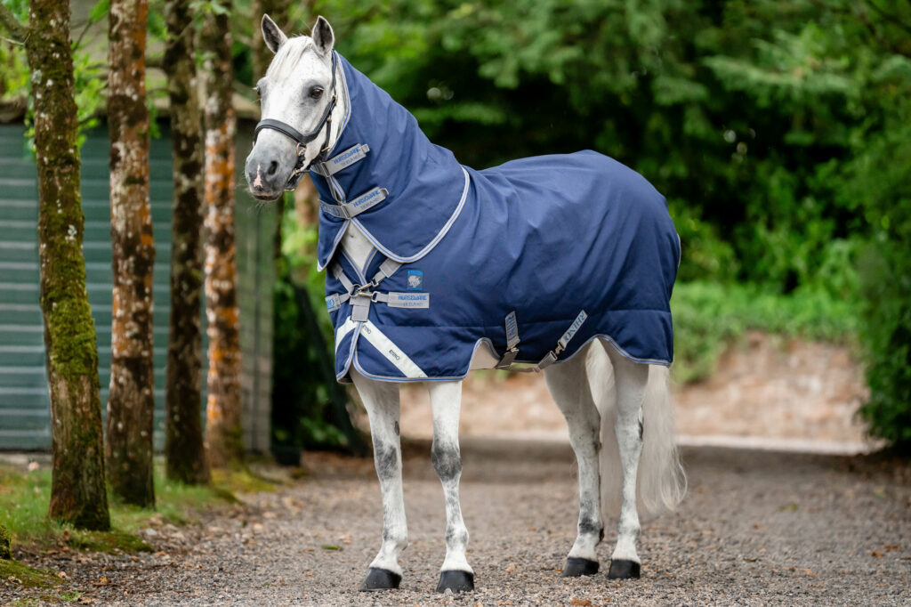 Rhino Pony Plus Lite Turnout Rugs