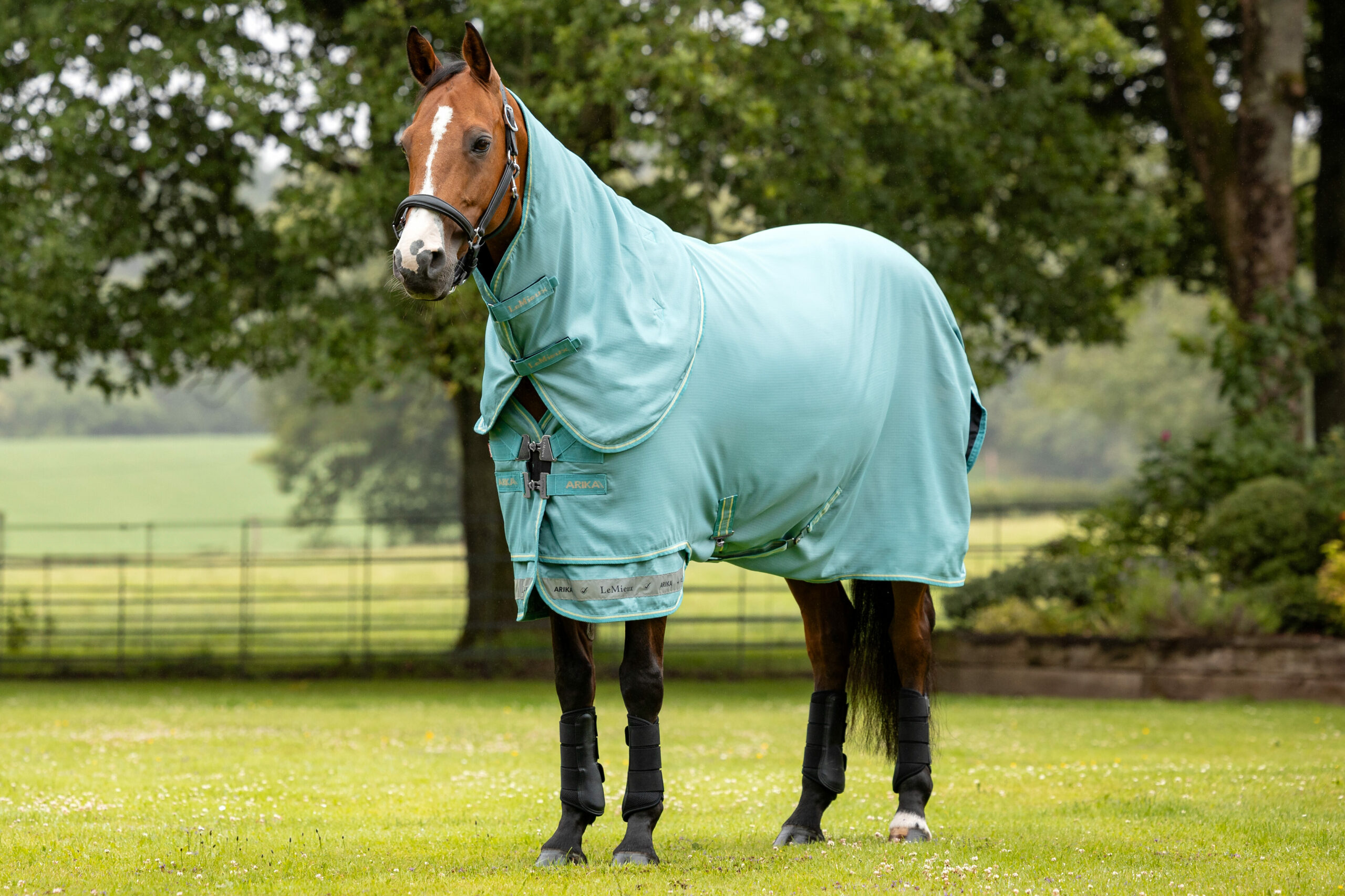 LeMieux Arika Ripstop 600D 50g Turnout Rugs