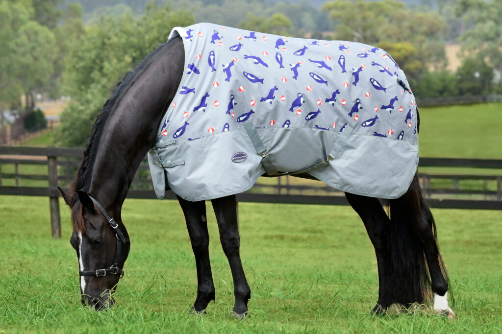 Weatherbeeta Comfitec Tyro 50g Turnout Rugs