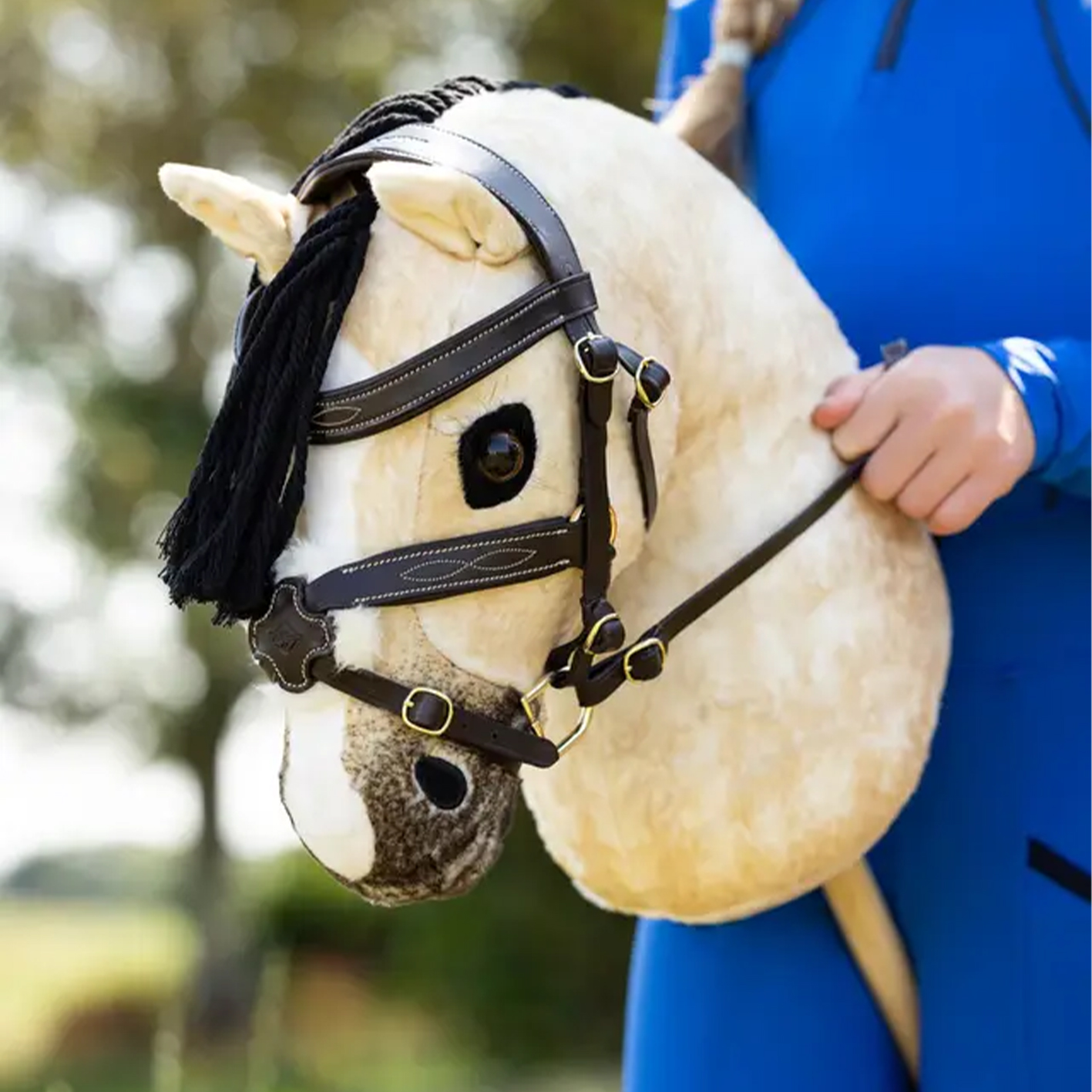 LeMieuc-Hobby-Horses-Dream