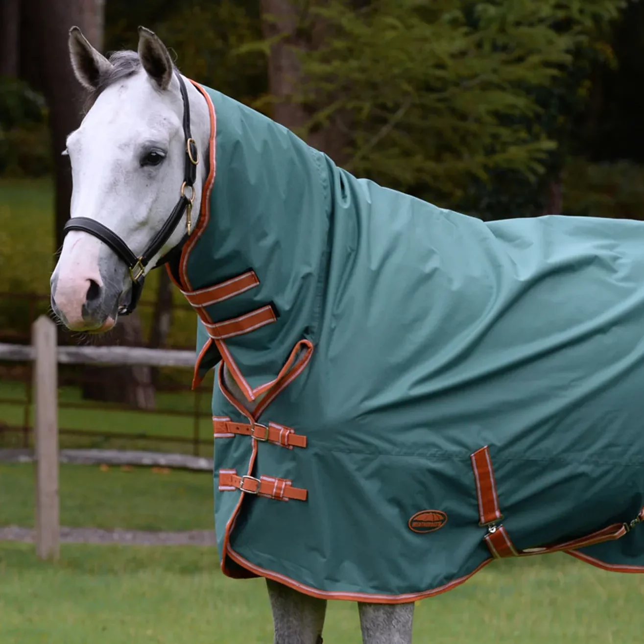 Combo Neck Turnout Rugs