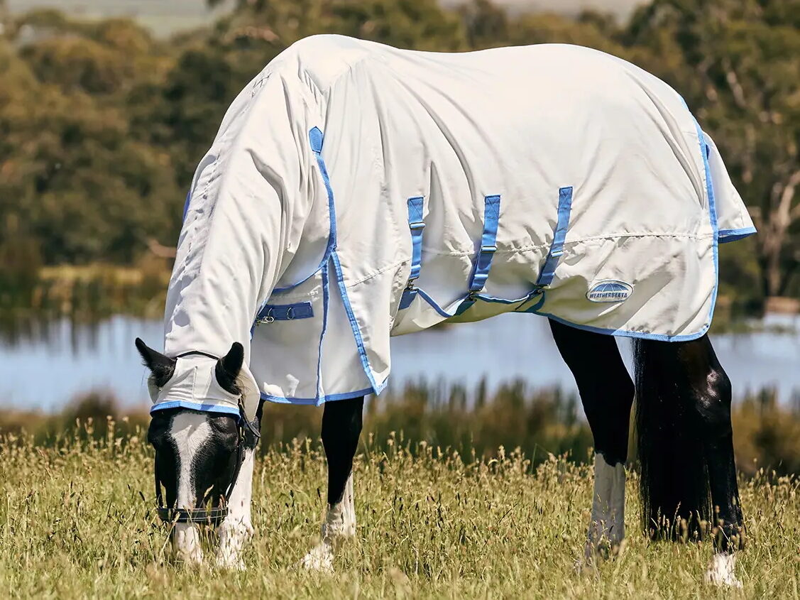 Watherbeeta Comfitec fly rugs