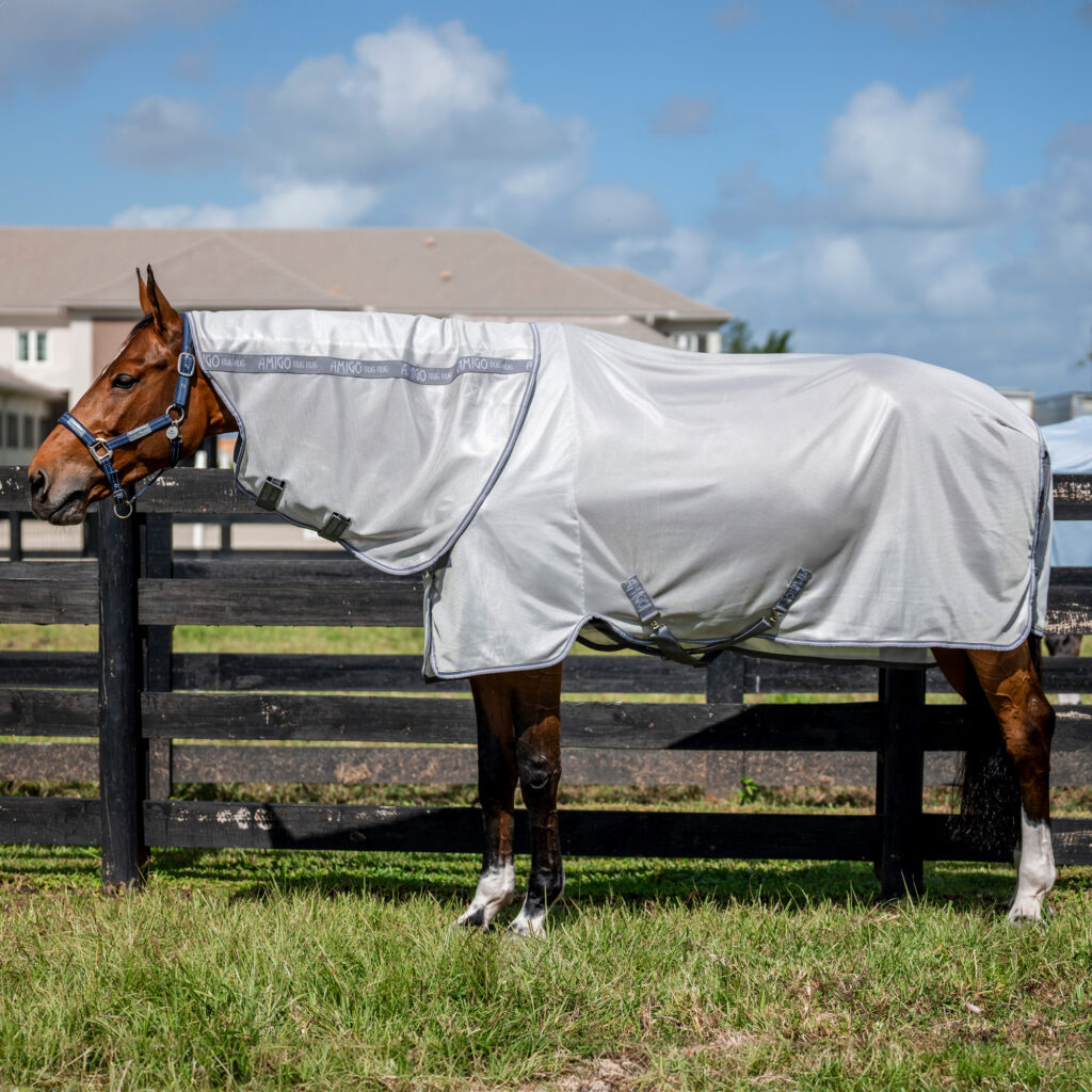 Amigo XL Bug Rug fly rugs