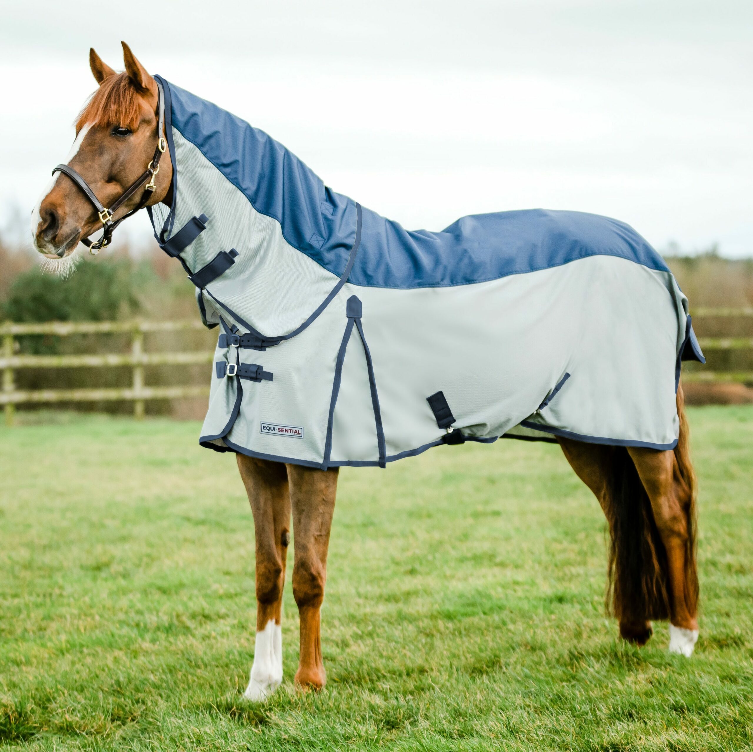 Equi-sential Waterproof fly rugs
