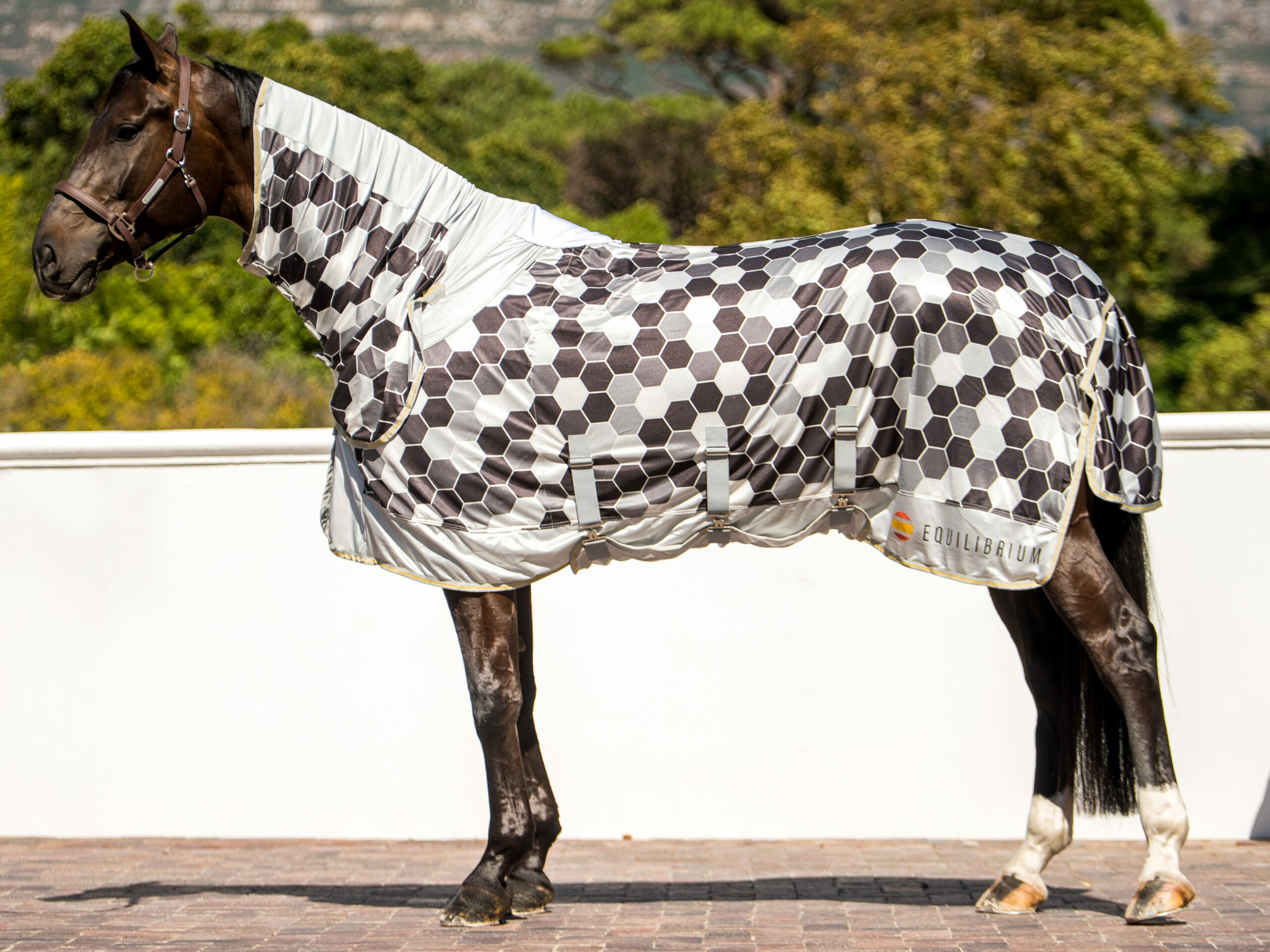 Equilibrium fly rugs