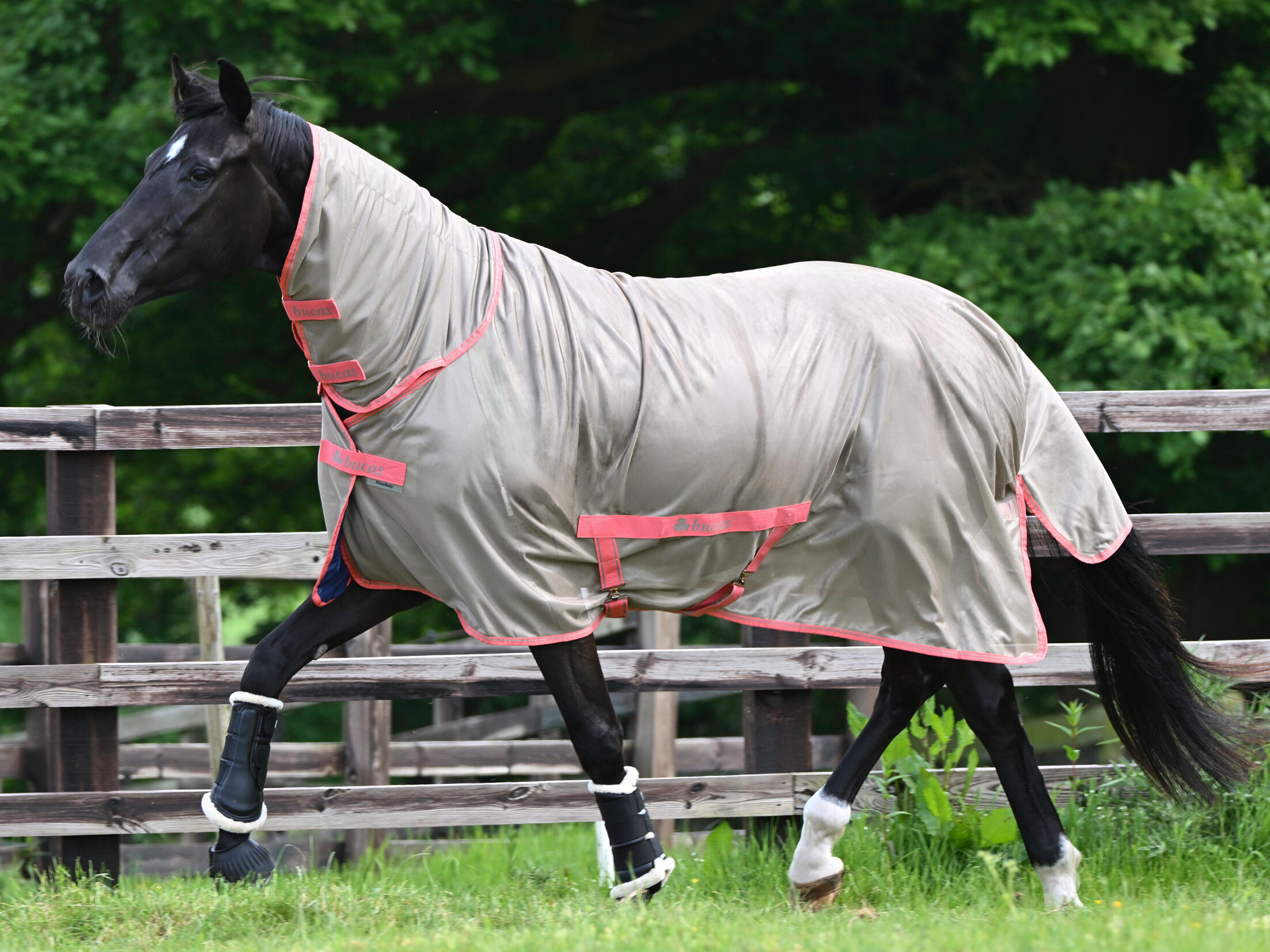 Bucas Freedom fly rugs
