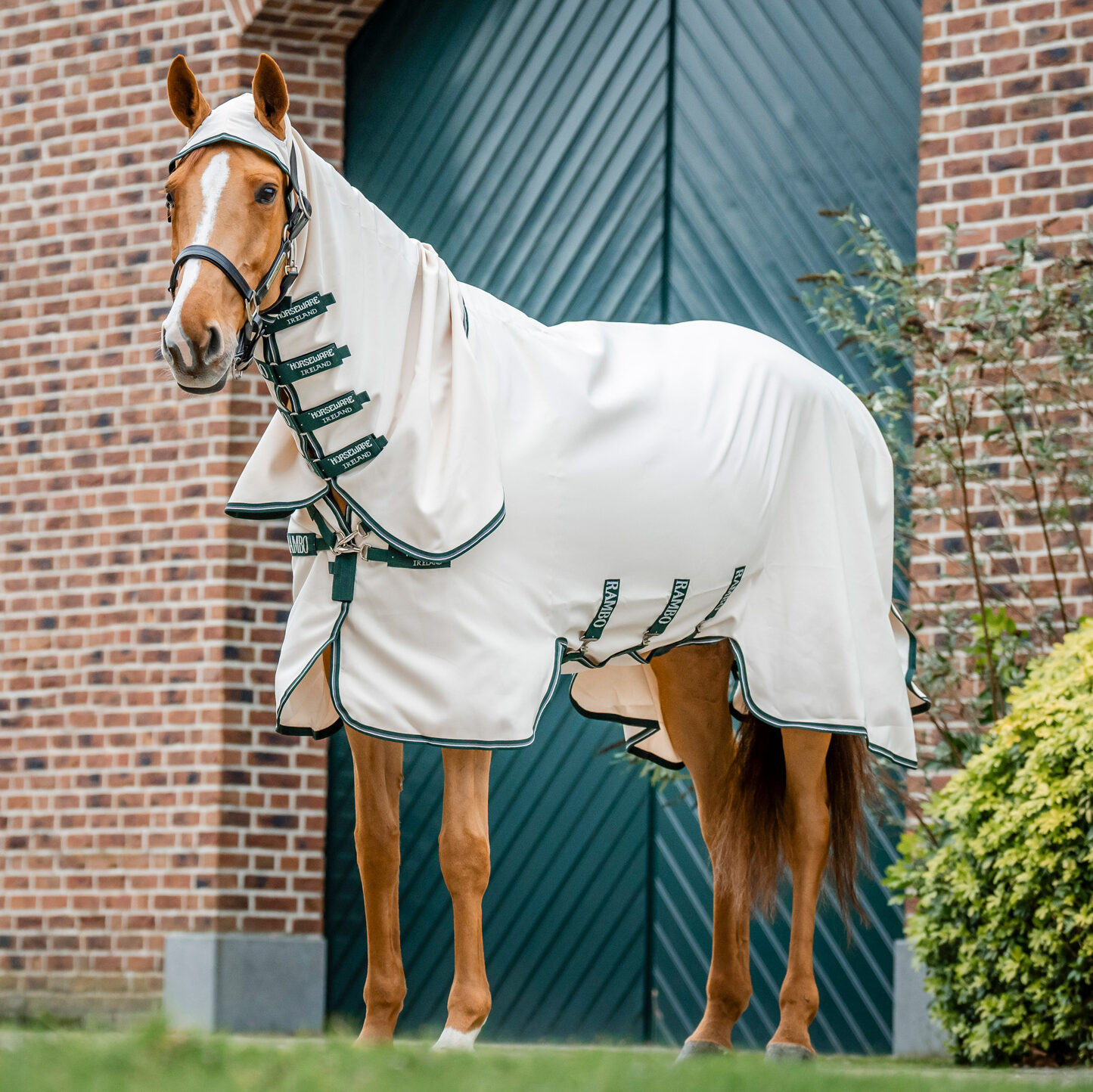 Rambo Hoody fly rugs