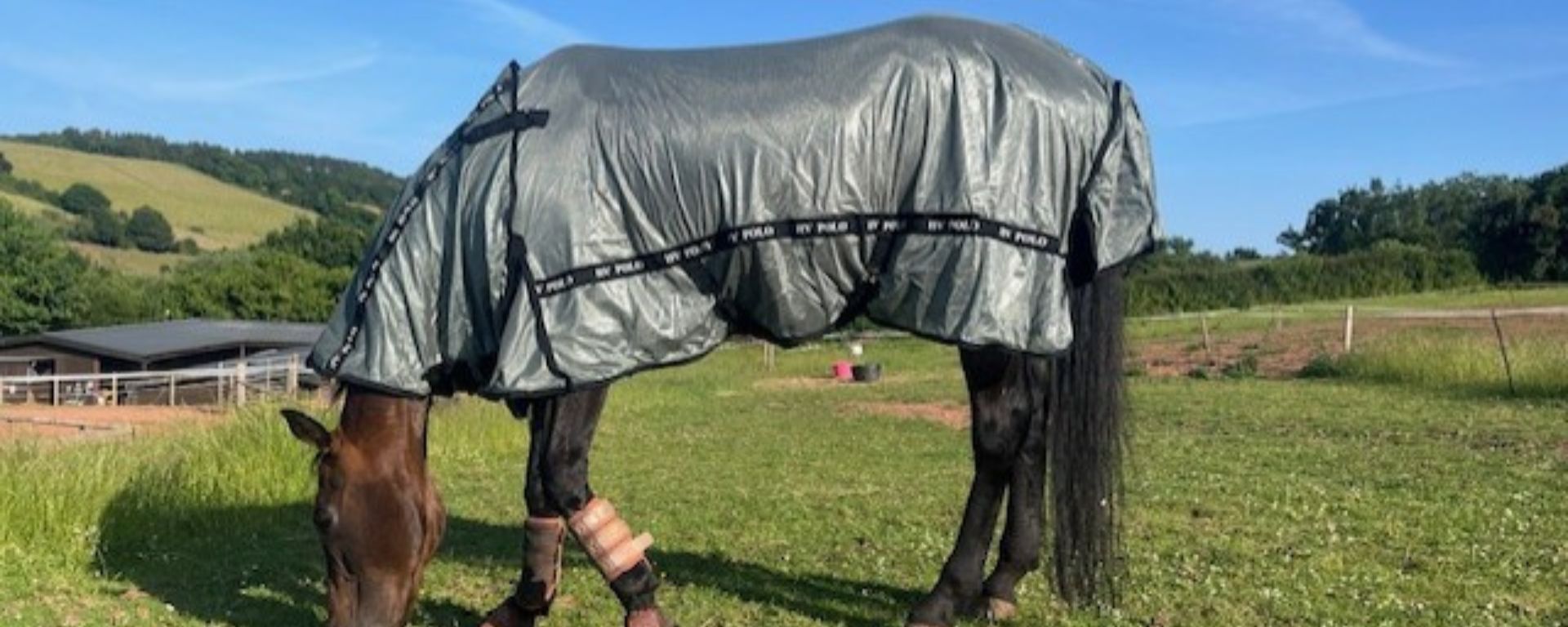 Tried & Tested: HV Polo Nena Detachable Neck Fly Rug
