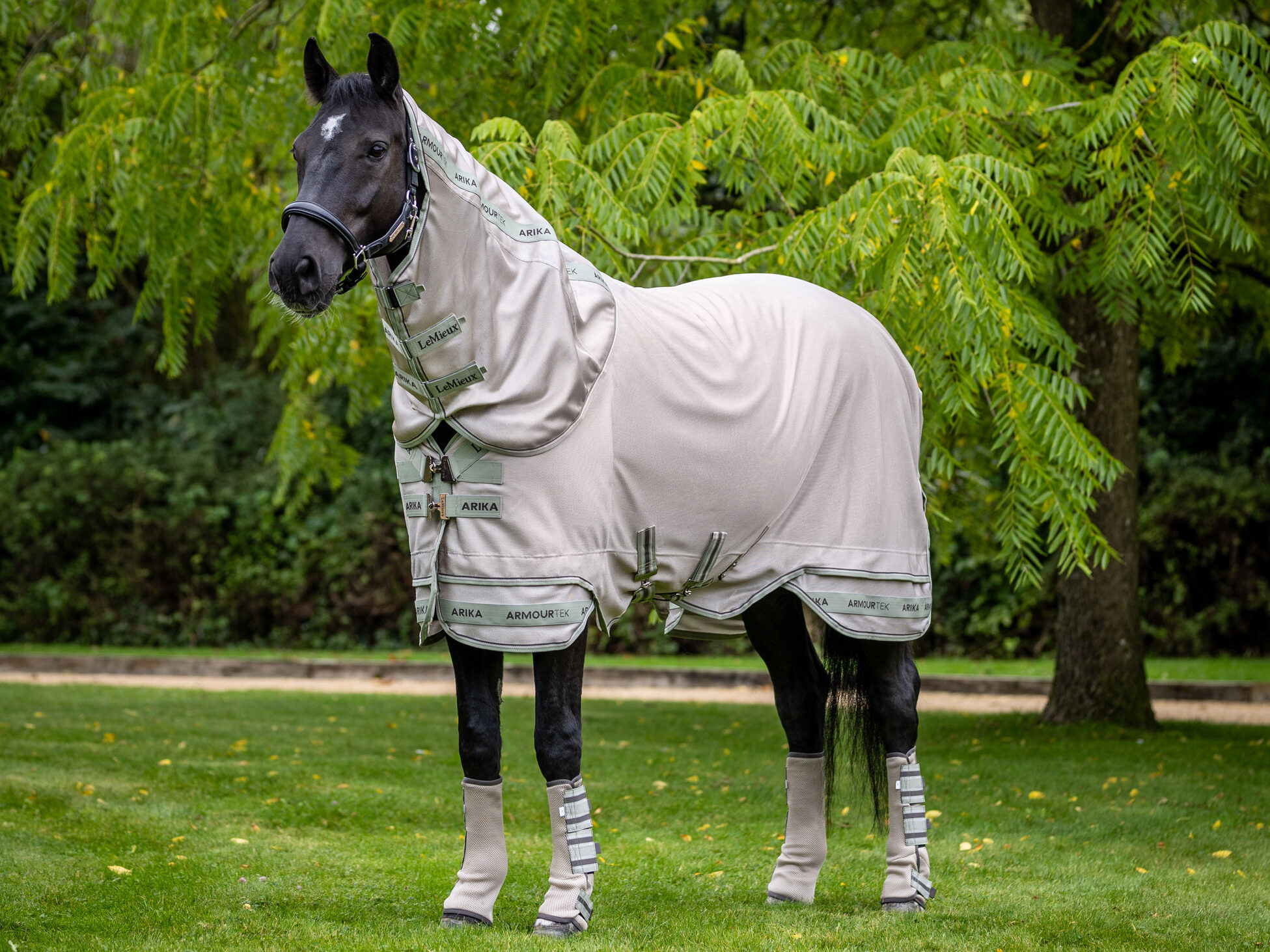 LeMieux Arika Armour-Tek fly rugs