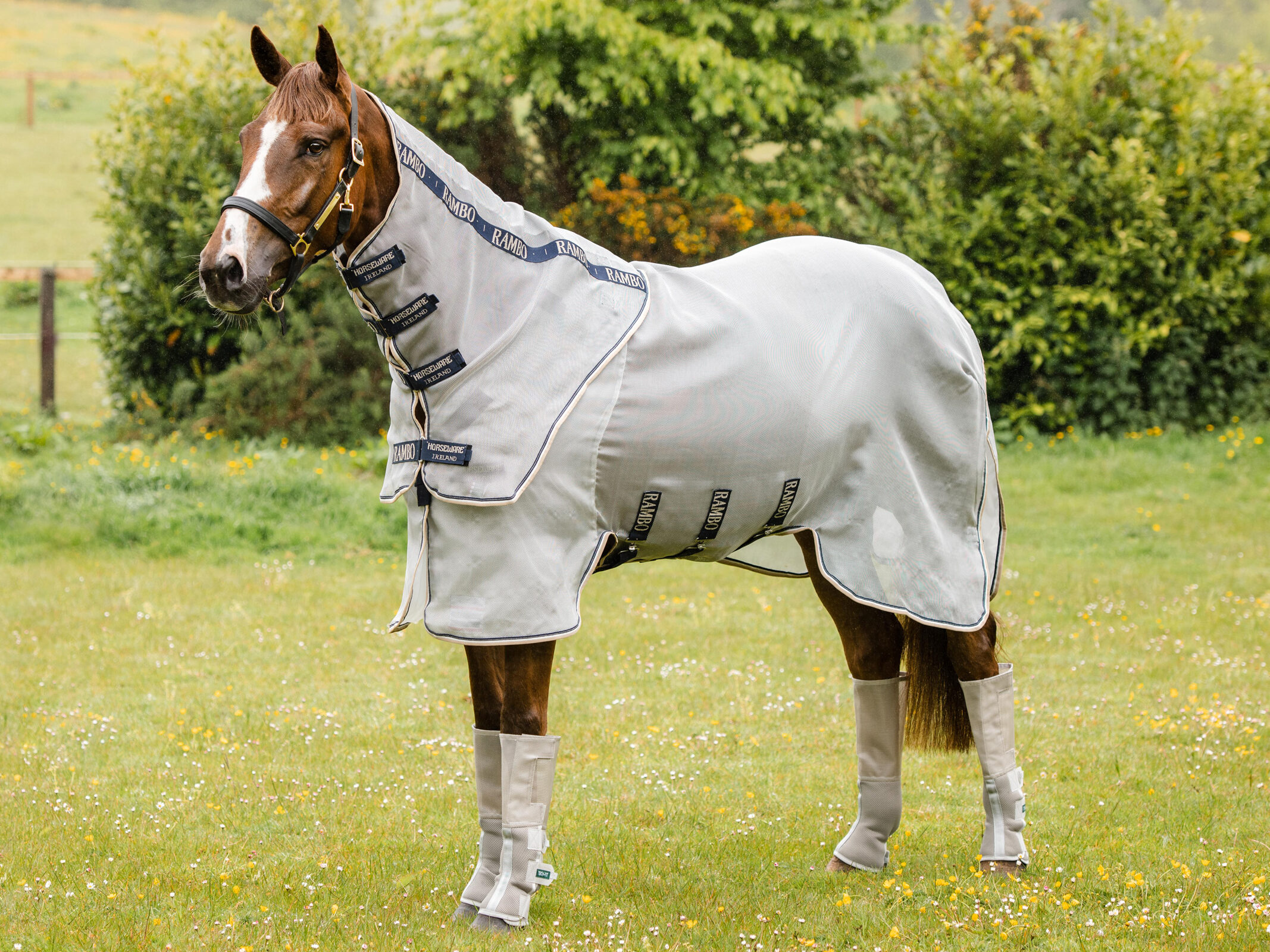 Rambo Fly rugs