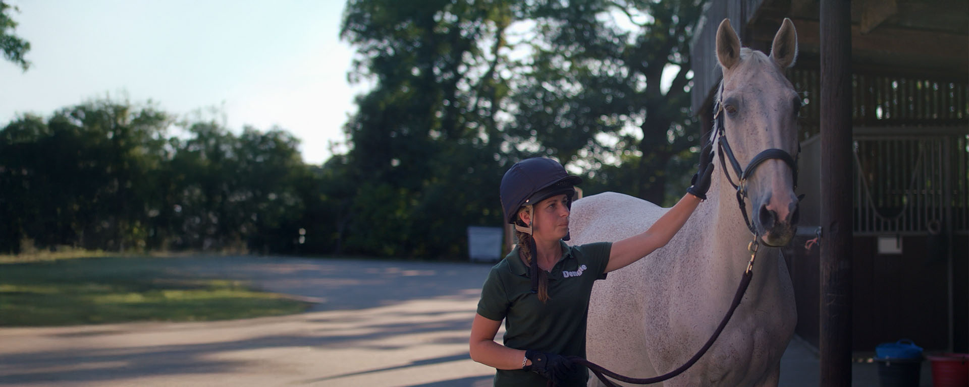 Feeding the Senior Horse or Pony with Dengie