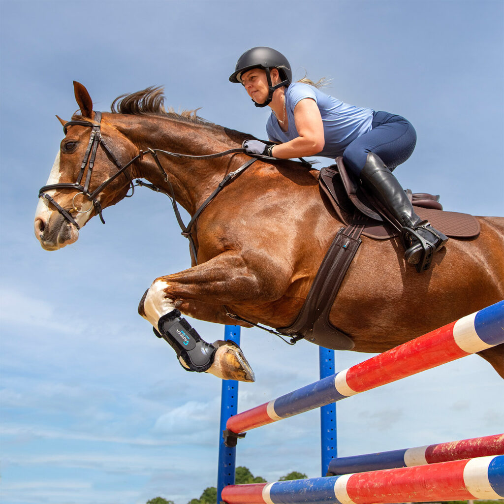 buy a horse show jumping lifestyle