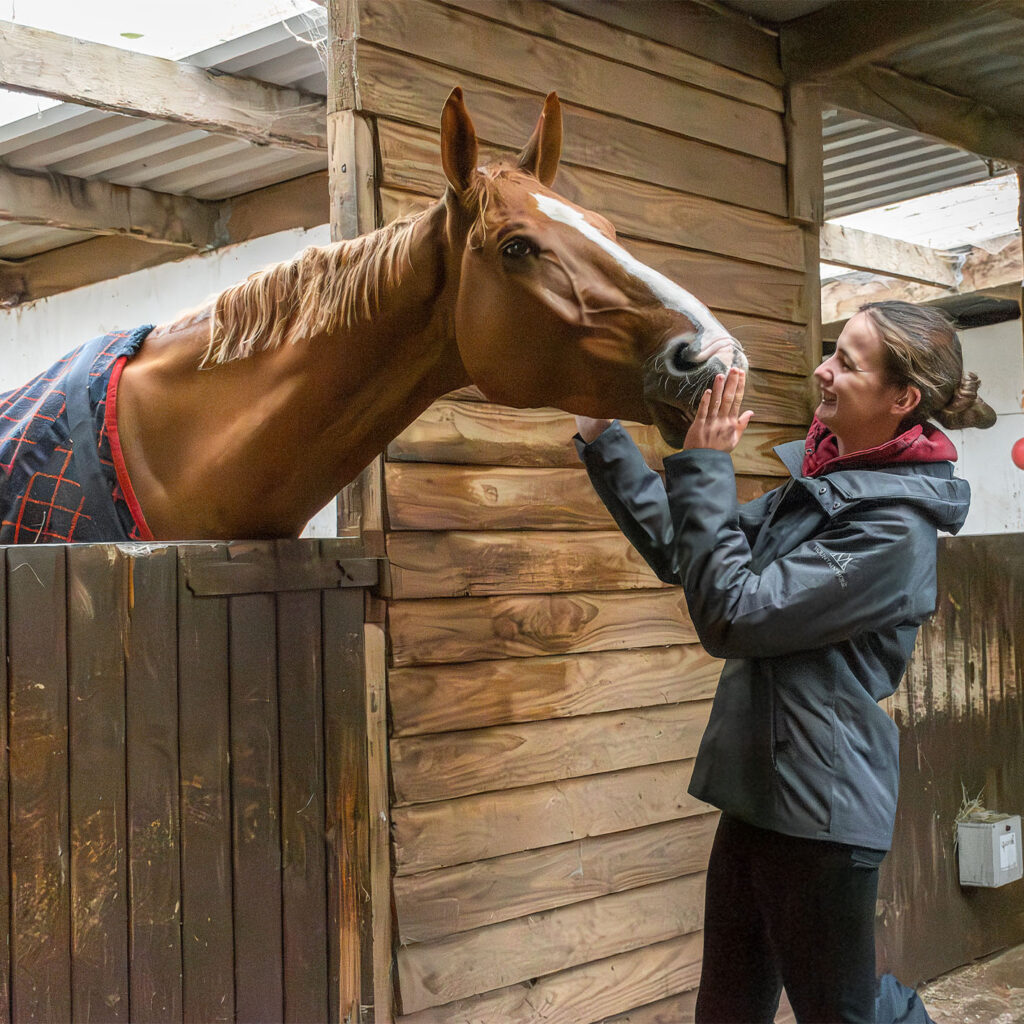 buy a horse alicia jacket