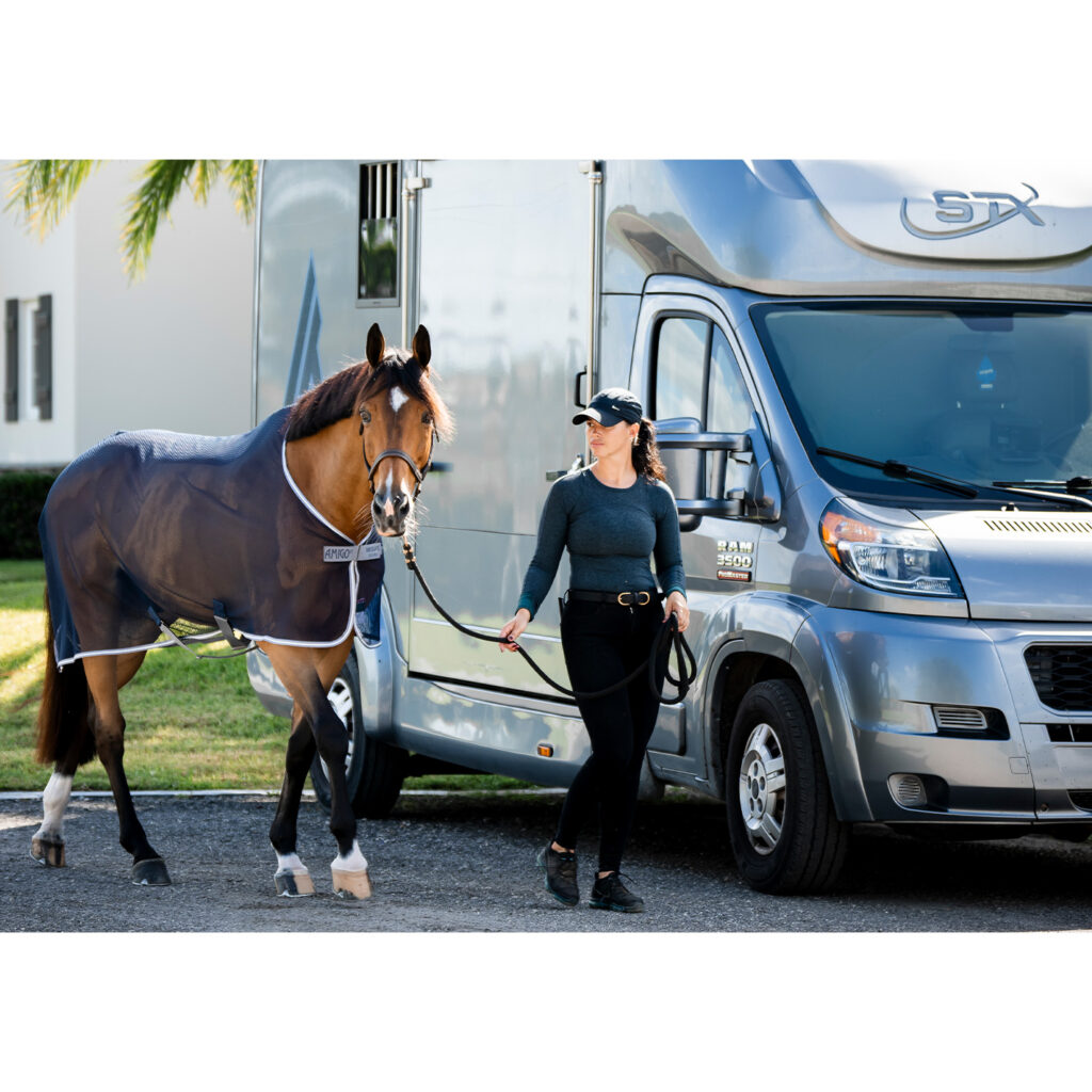 buy a horse horse trailer lifestyle