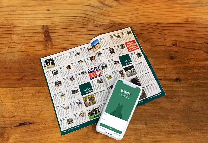 buy a horse whickr catalogue