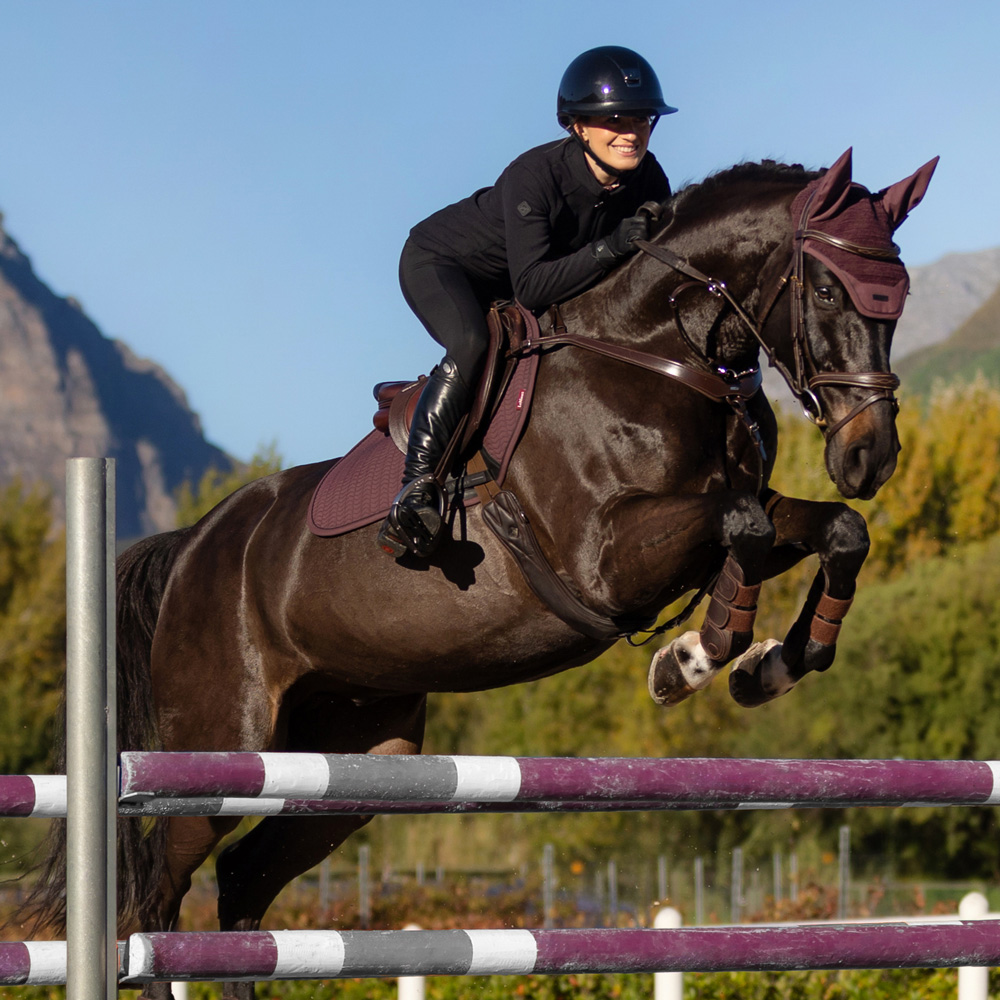 LeMieux New Colour - Damson Classique