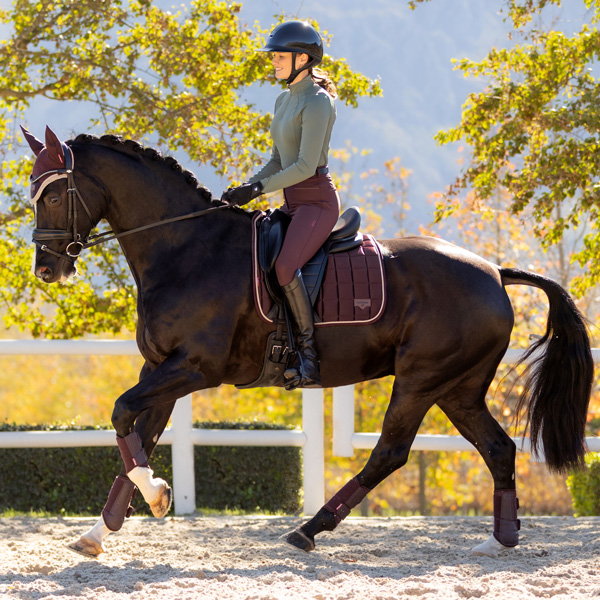 LeMieux New Colour - Damson Loire