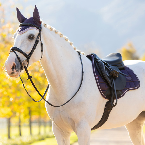 LeMieux New Colour - Juniper Loire