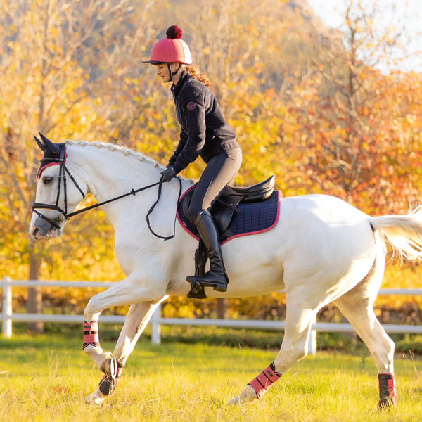 LeMieux New Colour - Navy/Cranberry Young Rider