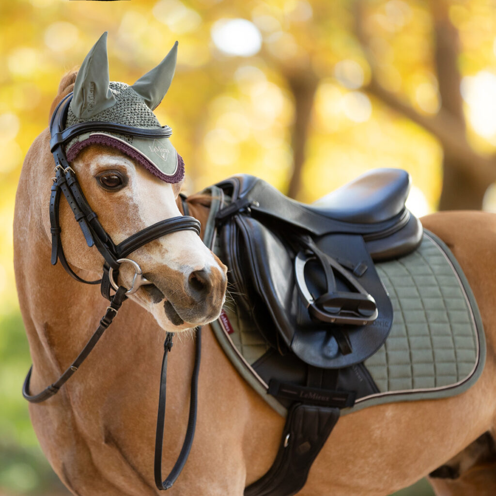 LeMieux New Colour - Rosemary Mini