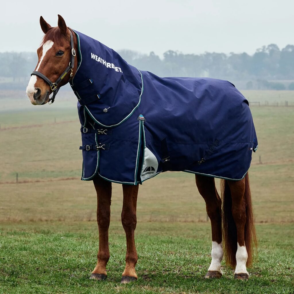 The plus dynamic Weatherbeeta turnout rug