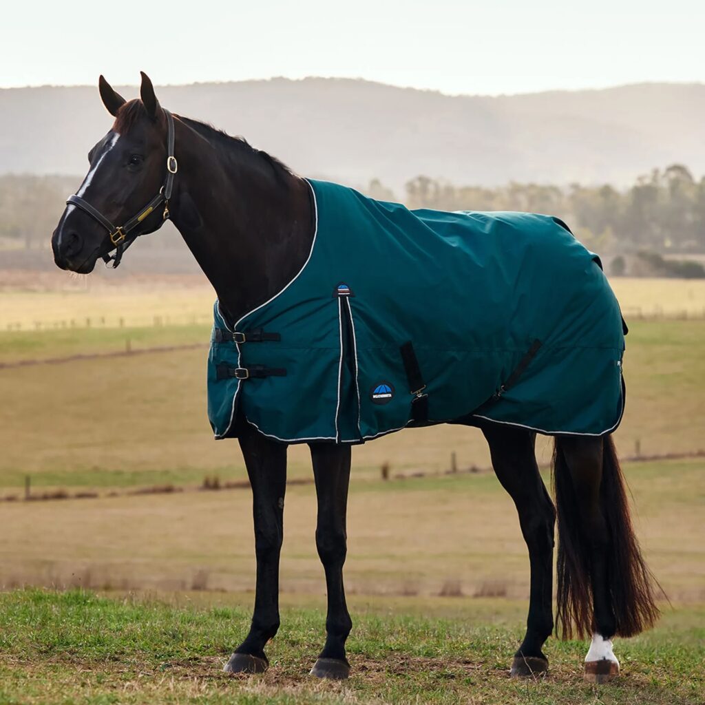 The Classic Weatherbeeta turnout rug