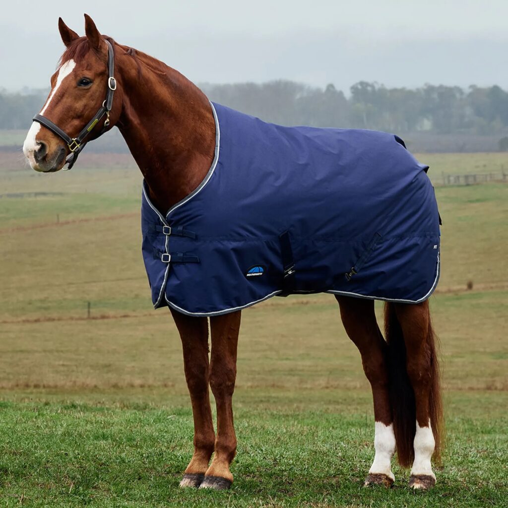 The Tyro Weatherbeeta turnout rug