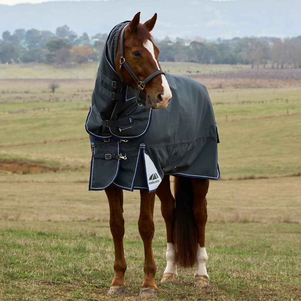 WeatherBeeta ComFiTec Ultra 100g Detach-A-Neck Turnout Rug - Charcoal.