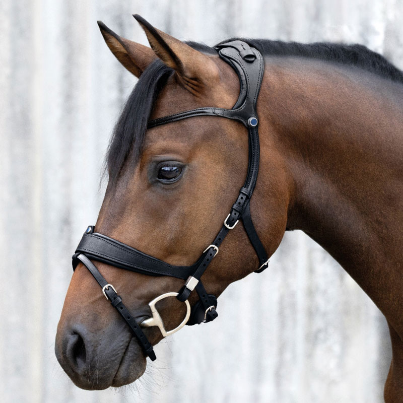 Stübben Freedom Bridles