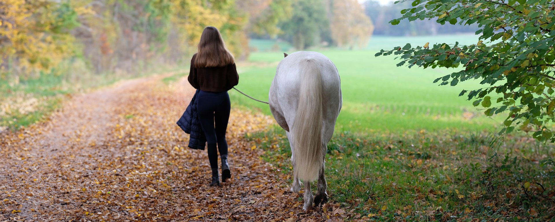 Preparing Your Horse’s Gut for Winter with NAF Five Star GastriAid