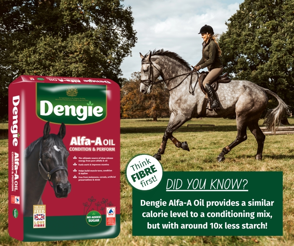 Promotional image from Dengie Horse Feeds highlighting the fact that Alfa-A Oil is a good source of calories, but with approximately 10 times less starch than a conditioning mix.