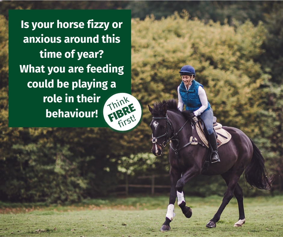 Dengie Horse Feeds promotional image encouraging horse owners to 'think fibre first' when assessing how feeding could be playing a role in their horse's behaviour.