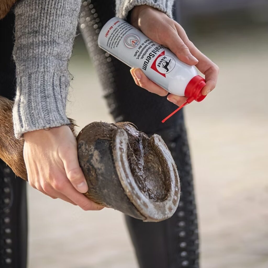 A horse owner applying Leovet FrogMedic Hoof Care Spray.