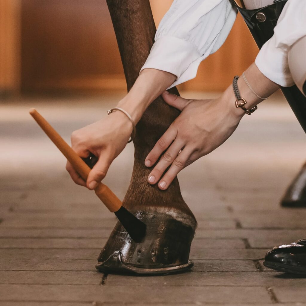 A horse owner applying hoof oil to a horse's hoof using the Grooming Deluxe Hoof Oil Pencil Brush.