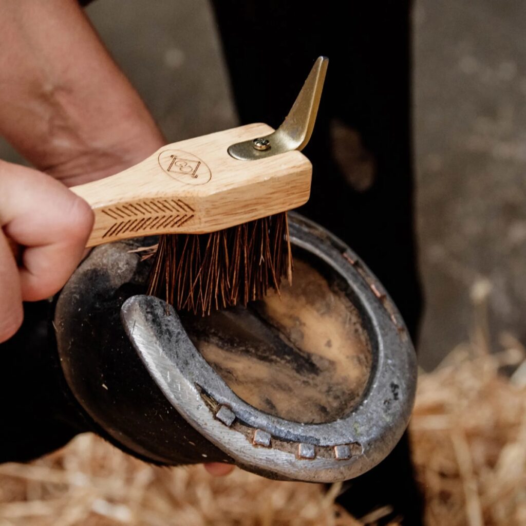 Grooming Deluxe Hoof Pick with Brush.