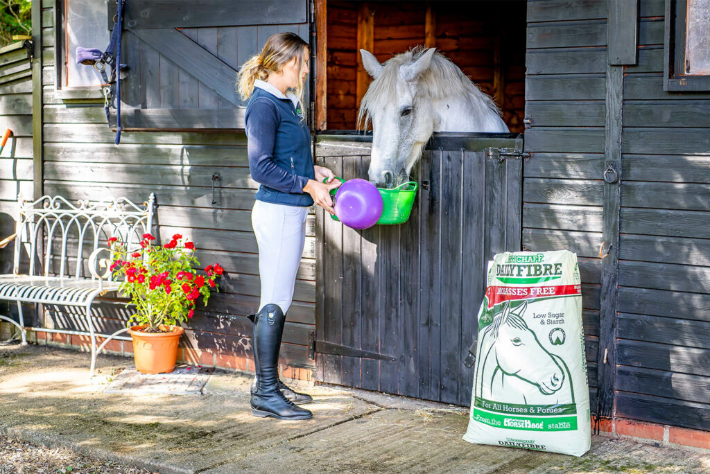 mollichaff horse feed dailyfibre